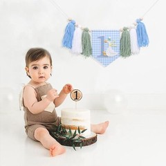 One Silly Goose High Chair Banner Boys 1st Birthday Blue Gingham Decor