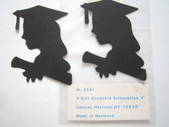 Vintage New Honeycomb Tissue Graduation Girl Centerpiece 11.5” Cutouts Cake Dec