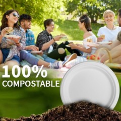 7 Inch Compostable Paper Plates 【White 150 Pack】, 100% Sugarcane B