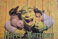 39×59 Inch Funny TV/Movie Characters Birthday Banner