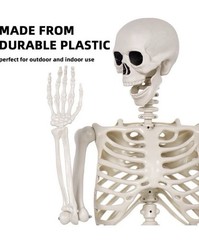 Halloween Oversized Poseable Full Life Size Human Skeleton Decoration