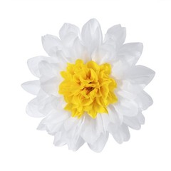 18-Pack 10 inch White Tissue Pom Poms Daisy Flower Party Backdrop Decor