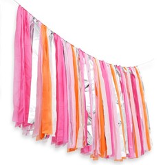 5ft Extra Large Sunset Sorbet Streamer Fringe Photo Booth Backdrop Party