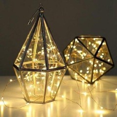 Fantado 100 Warm White LED Micro Fairy String Light, Waterproof Wire (33ft, A…