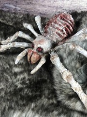 Creepy Horror Doll Skeleton Spider Albino Re Painted Halloween