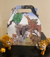 Safari Treat Boxes (9 count) for kid’s party