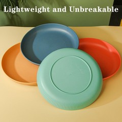 Dinner Plates Set of 4, 8 Inch Plastic 8 inches, 4 Stripe