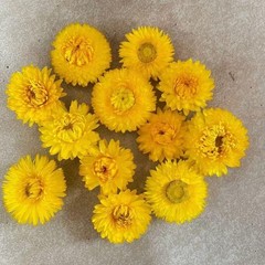 Dried Flower Petals Colorful Biodegradable Confetti Wedding Party Table