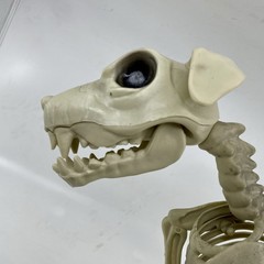 Halloween Dog Skeleton Canine Werewolf Prop Scary Haunted House Decoration 12″