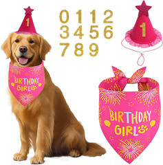 Dog Birthday Decorations Rose Pink, Dog Birthday Party Supplies with Hat