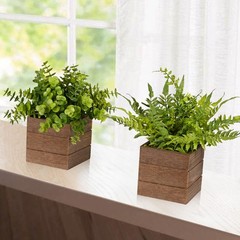 Vlorart Small Fake Plants, 2Pack Mini Potted Artificial Plastic Boxwood Fern