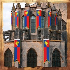 4 ft Medieval Fantasy Pull-Down Banner – Lion Design Party Decor, Castle Theme,