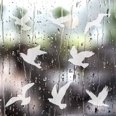 Large Size Anti-Collision Window Clings – Translucent/Dusted Bird Deterrent f…