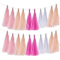 20Pcs Light Pink,Rose Red,Peach,White Tassel Garland Banner with Rope