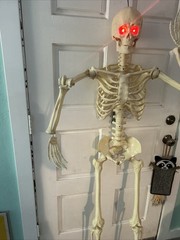 Crazy Bonez PoseNStay 5FT Skeleton Posable Moveable Joints Eyes light up