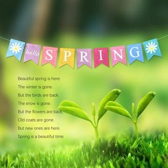 DONCIDAY Hello Spring Banner,Pre-assembled 6 inches x 8 inches, Banner