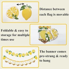Lemonade Stand Supplies Banner Lemonade Sign Lemon Garland for Summer Birthday