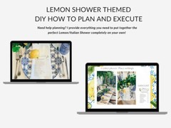 Step by Step DIY Baby Shower Gender Reveal Party Planner Decor Guide