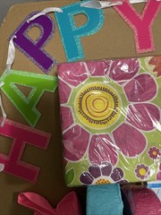 *Bundle* Birthday Party Supples 22+ Items Pinks, Purples & Teals