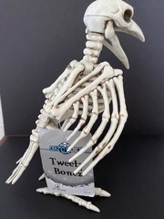 Crazy Bonez Skeleton Raven Model 18119