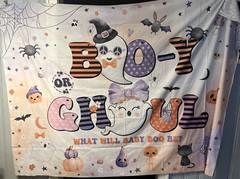 Boo-y or Ghoul baby shower backdrop. 7ft x5ft Halloween