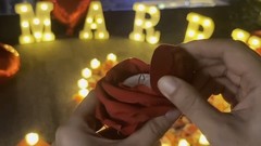 Light Up Marry Me Letters, 24 LED Candles, 2000 Rose Petals, Engagement Decor