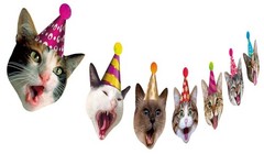 Birthday Cat Garland Photographic Cat Faces Birthday Banner Kitties Bday Party B