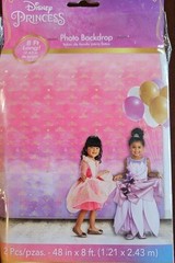 Disney Princess Once Upon a Time Kids Birthday Party Decoration Photo Backdrop