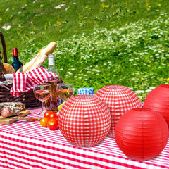 6 Pcs Red Gingham Picnic Party Decorations Kit 12 Inch Checkered round Paper Lan