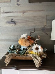Fall Thanksgiving Velvet Pumpkin Home Decor
