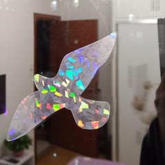 Holographic Window Decals for Bird Strikes – Glass Reminder Clear