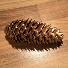 Golden Spruce Pine Cone Approx. 11Cm Real Natural Product Decoration Christmas