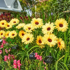 4 Pack Outdoor Solar Garden Lights with 16 Glowing Daisy Flowers & Stems, Wat…