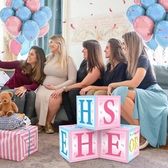 3pcs Gender Reveal Decorations Baby Boxes, Blue Pink He or She Gender Reveal …