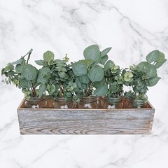 10 Pcs Mixed Eucalyptus Leaves Stems Bulk Artificial Silver Dollar Green,grey