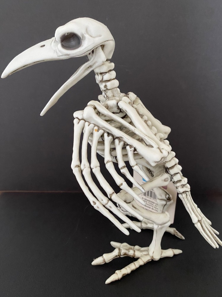 Crazy Bonez Skeleton Raven Model 18119