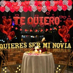 17Pcs 6.3″ Letter Sig,Quieres Ser Mi Novia Light Up Letters Proposal Decorations