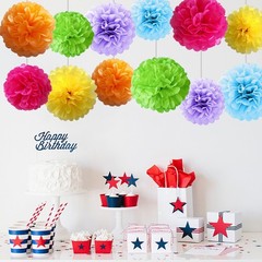 Rainbow Assorted Color Tissue Paper Flower Pom Poms Hanging Ball Decor