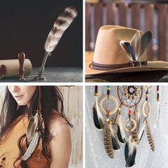 Daieeparty 15pcs Pheasant Feathers 5-8inch Natural Craft Feather for Home Dec…