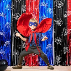 Spider Web Birthday Decorations, 2 Pack Spider Party Supplies 3.3×6.6ft Tinse…