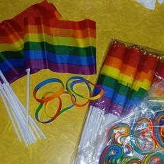 Rainbow Pride Parade Flags And Wristbands New In Package