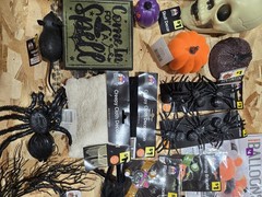 Bulk Halloween Decorations Set of 21 Pc, Decorating Party Pack, Spiders, Skull.