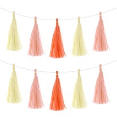 30Pcs Peach Pink, Creamy White, Bright Orange Tassel Garland Banner with Rope