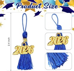 Versatile 60 Pack 2.4in Blue Graduation Tassels with 2026 Charm – Perfect Decor