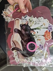 Cat Books Reading Birthday Party Tablecloth Cupcake Toppers Banner