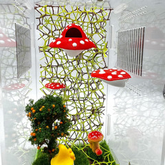Jumping Spider Enclosure Accessories – 3 Pcs Jumping Spider Mushroom Styling Pla