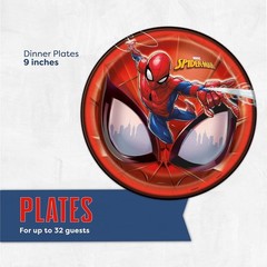 Spiderman Disposable Birthday Party Plates, Napkins, Sticker