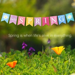 DONCIDAY Hello Spring Banner,Pre-assembled 6 inches x 8 inches, Banner