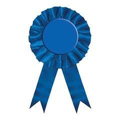 Blue Award Ribbon Party Accessory