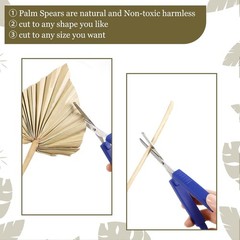 Cenkaiyang 10 Pcs Boho Dried Palm Spears Leaves, Real Fans with Natural